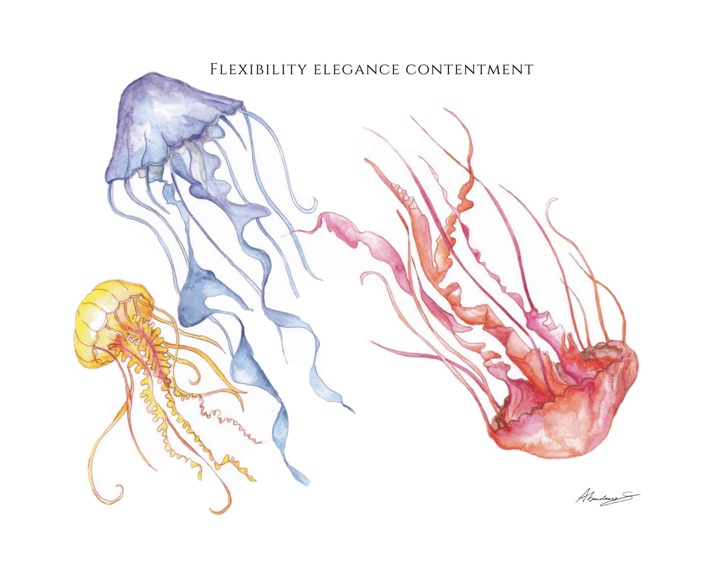 Jellyfish