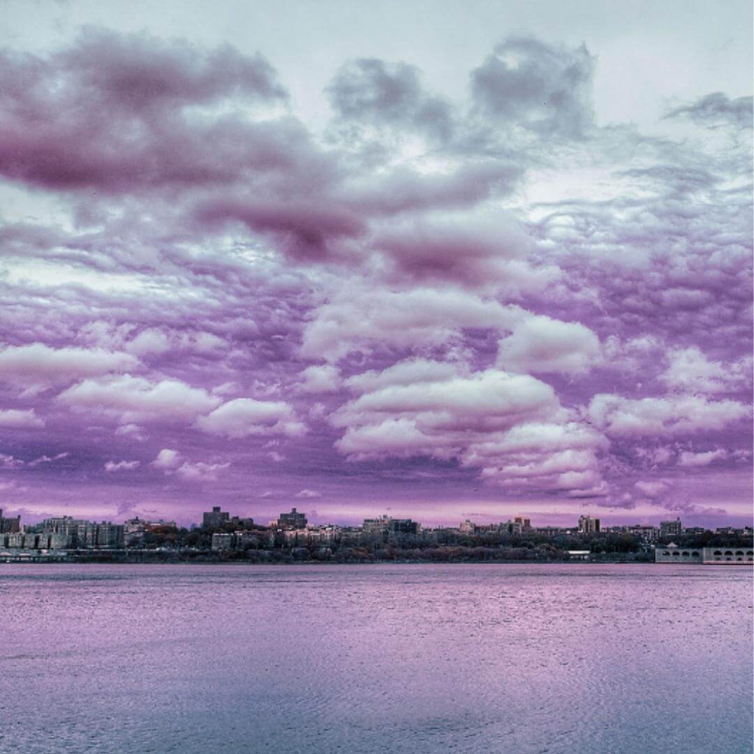 Cathedral Amethyst | Healing, Tranquility, Calm